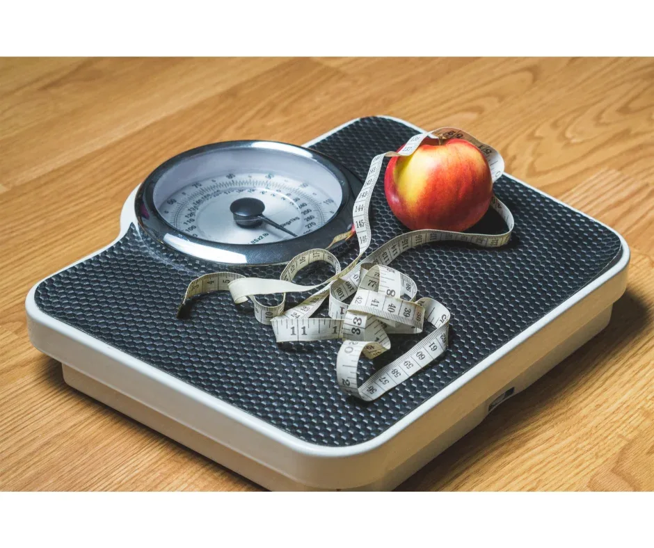 |Áreas de atuação para graduados em Nutrição EaD | Descrição visual da imagem | UNIFAVENI|Áreas de atuação para graduados em Nutrição EaD | Descrição visual da imagem | UNIFAVENI